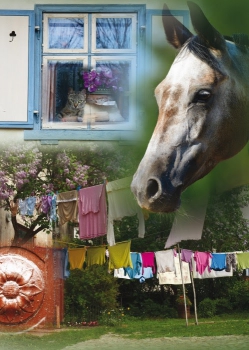 Latvijas foto projekts ar zirgiem un arhitektūru Baikāla paralimpiskajā jāšanas festivālā